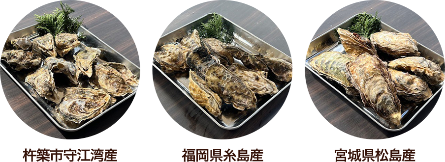 福岡県糸島産、宮城県松島産、岡山県寄島産