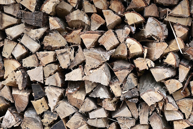 薪の写真